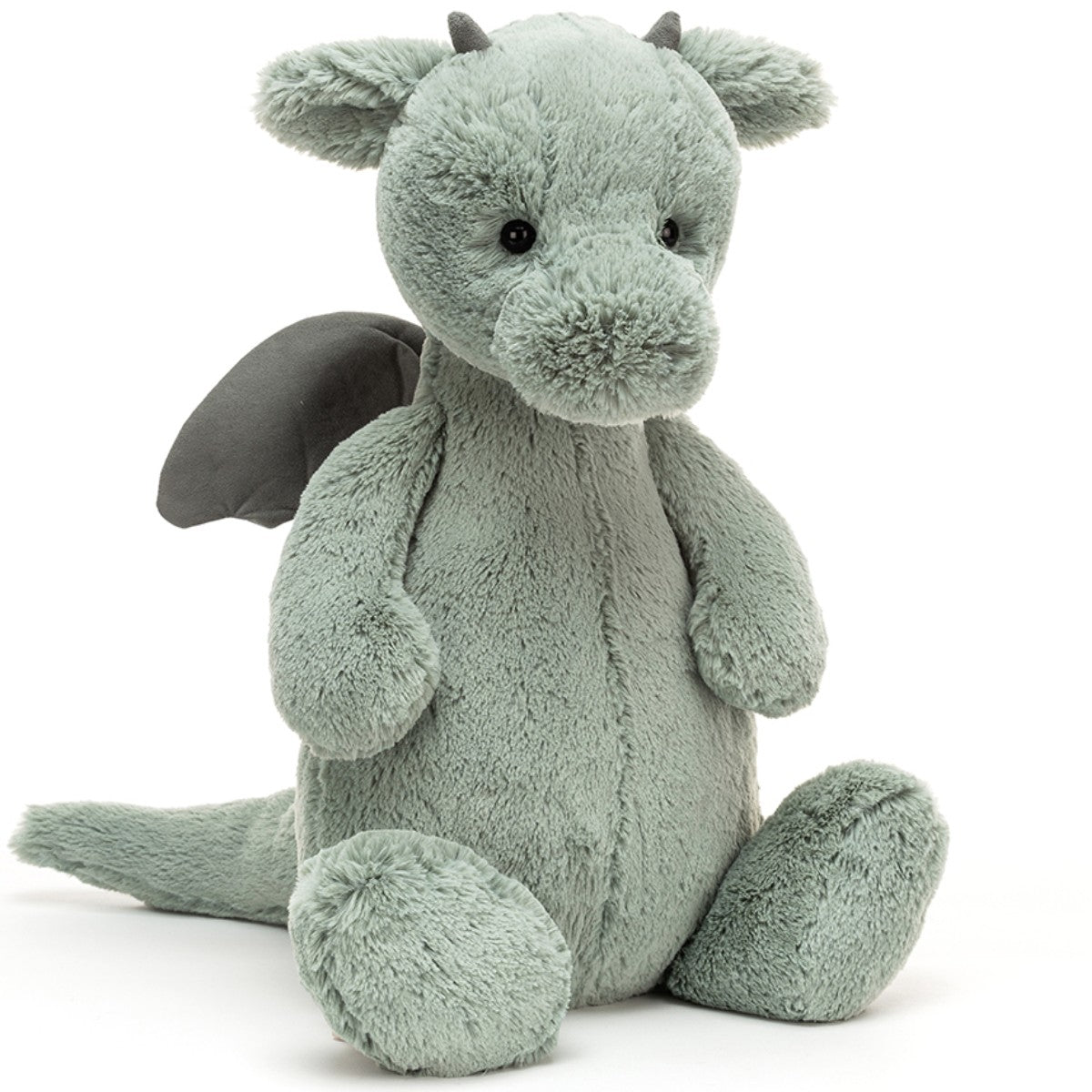 Bashful drage, 51 cm