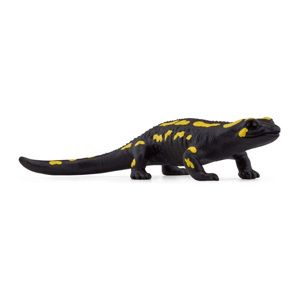 Ildsalamander