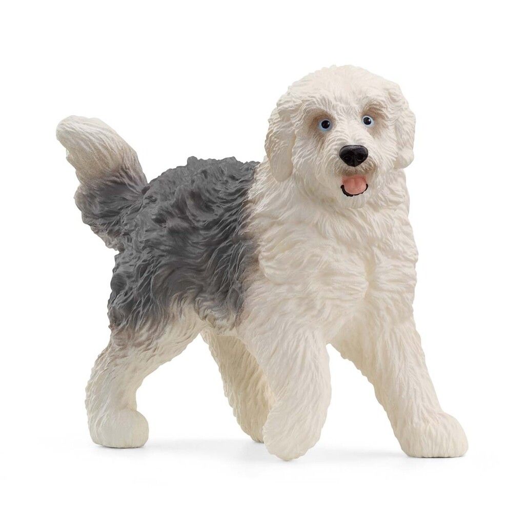 Old english sheepdog