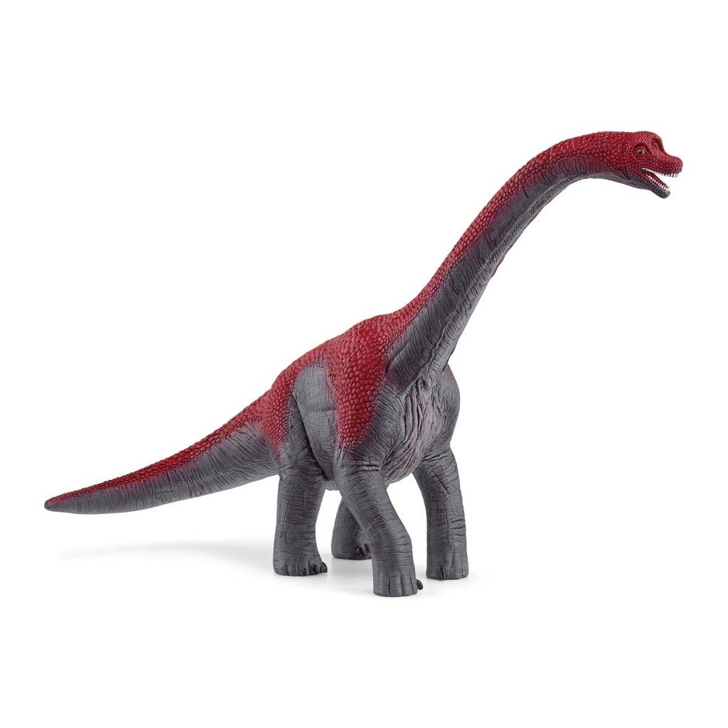 Brachiosaurus, rød/sort