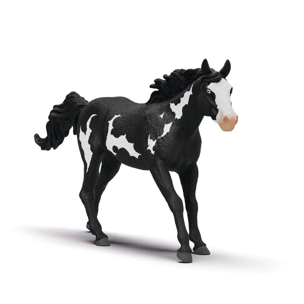 HEST