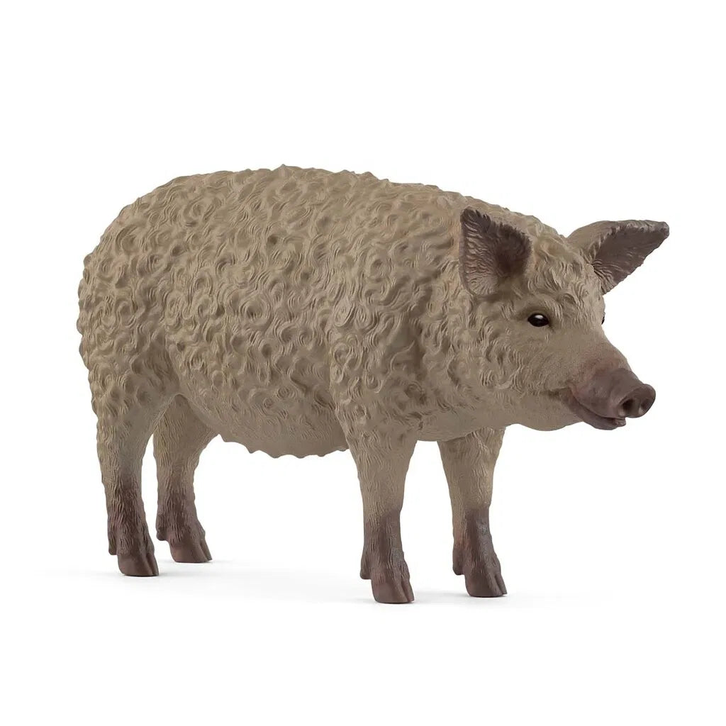 MANGALICA GRIS