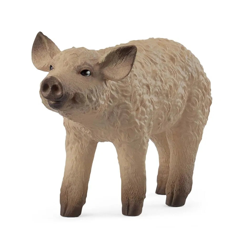 MANGALICA GRISLING