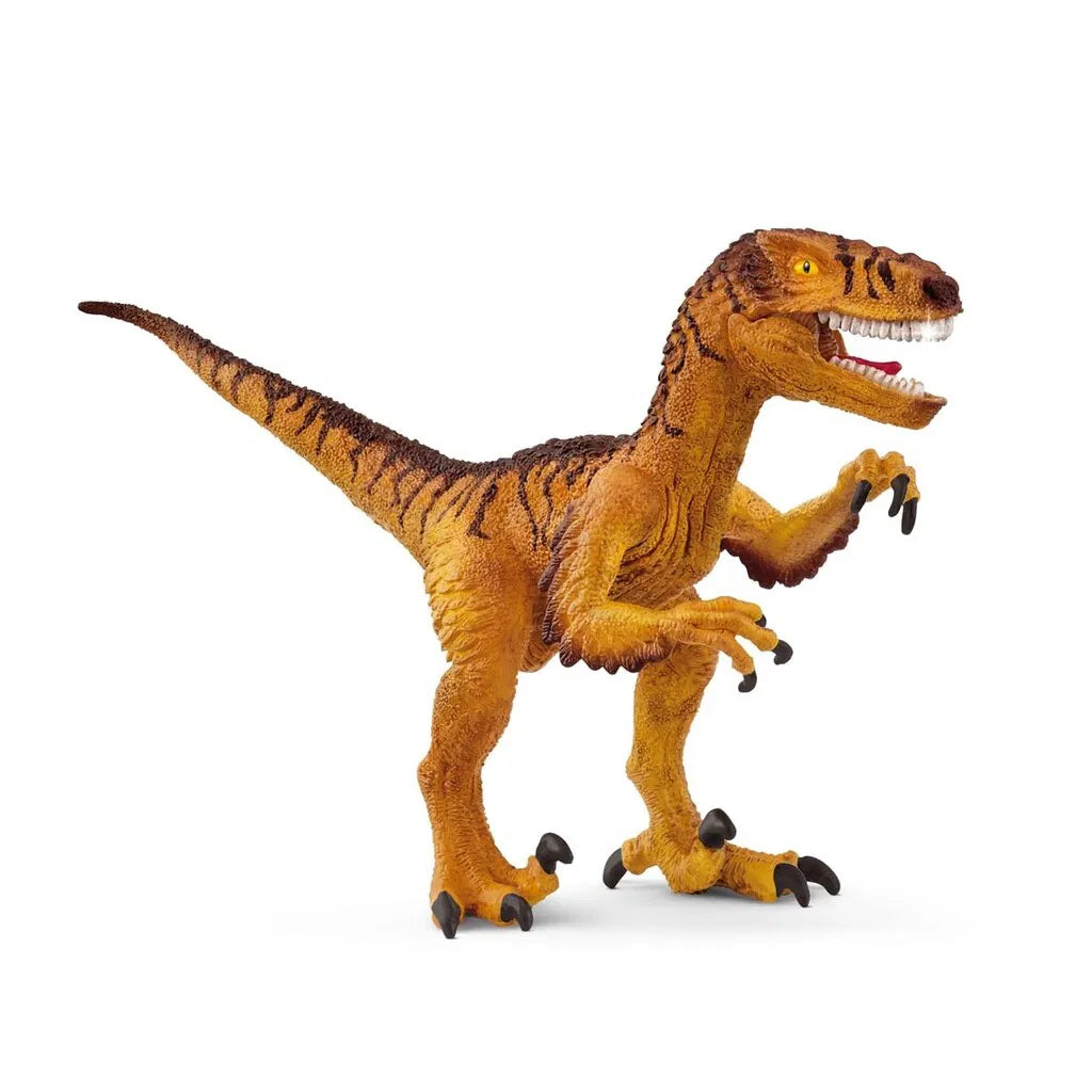 DINOSAUR, VELOCIRAPTOR