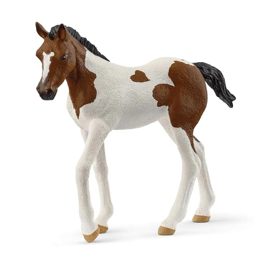 FØL, PAINT-HORSE