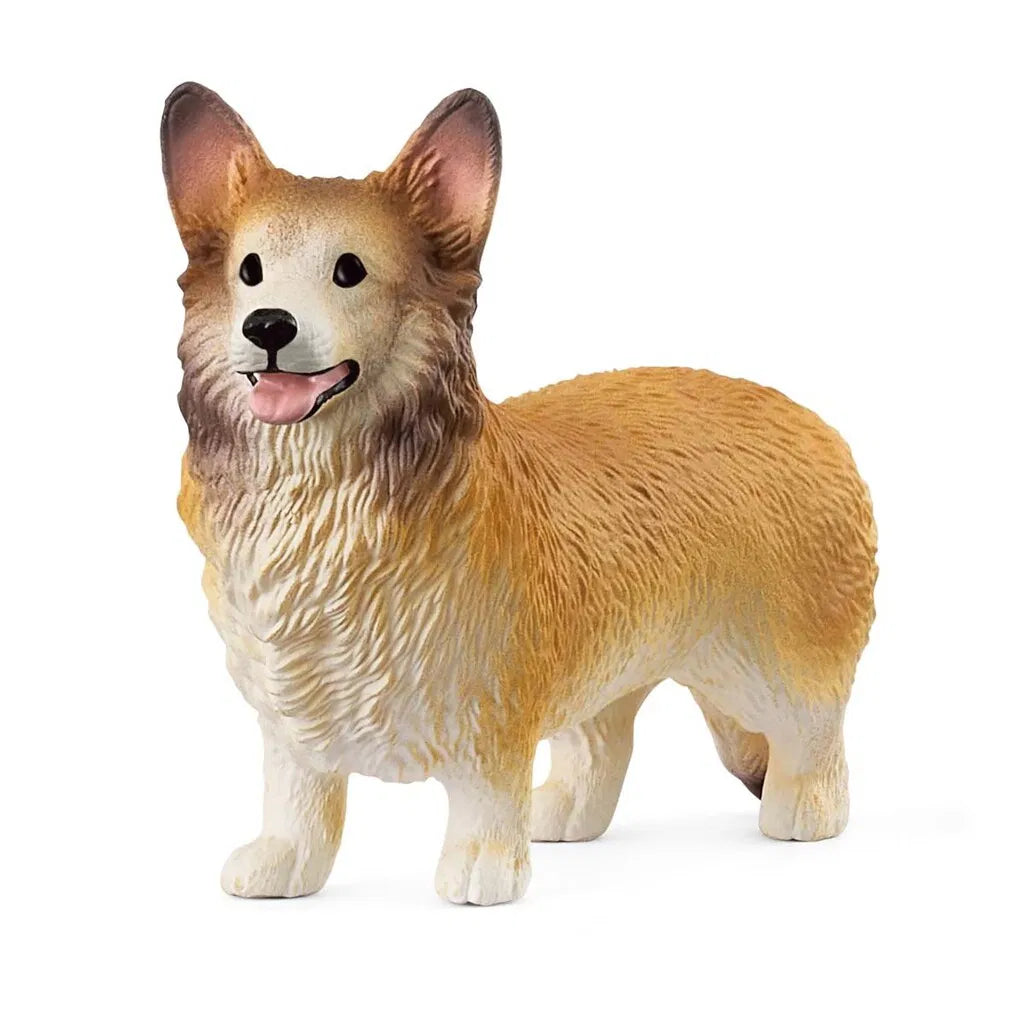 HUND, WELSH CORGI