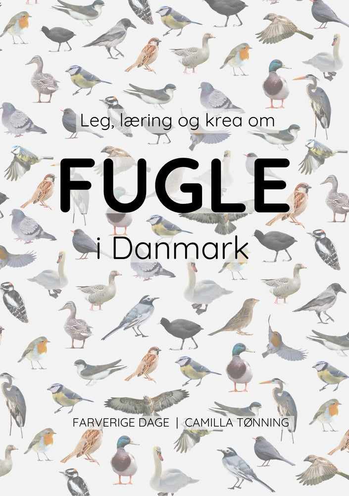 Leg, læring og krea om fugle i Danmark