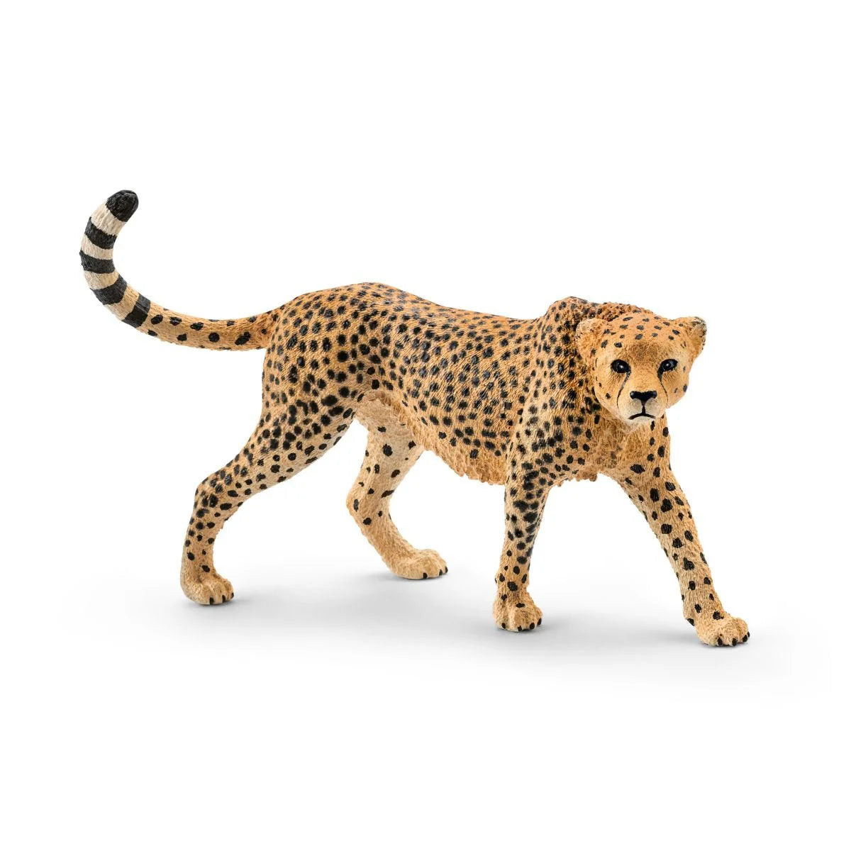 Cheetah, hun