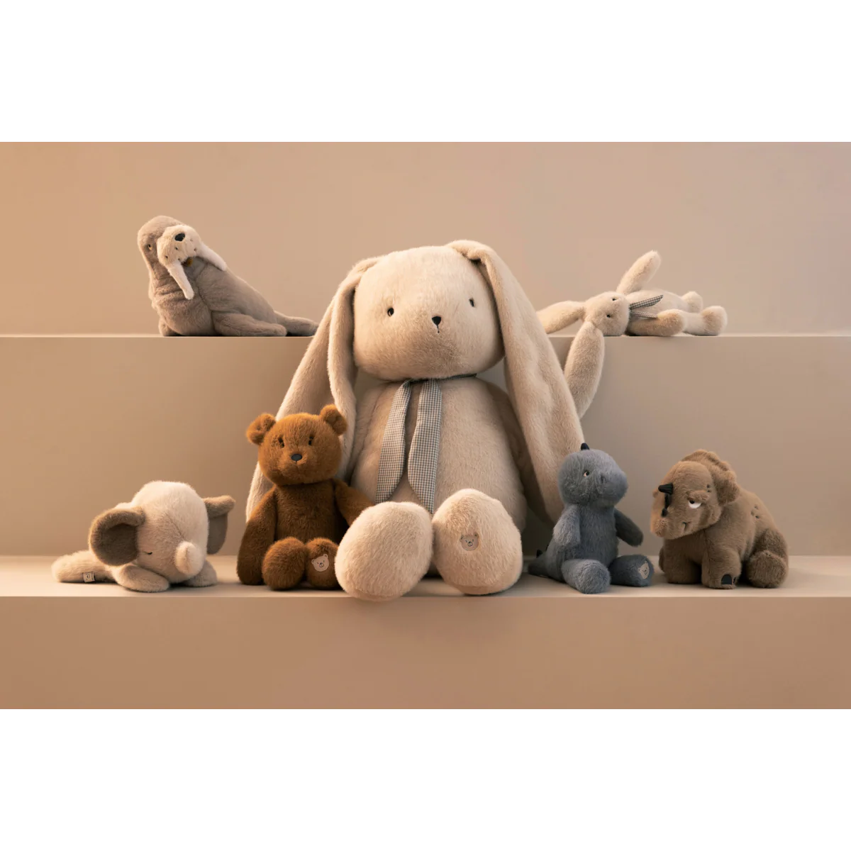 Bernis, Stor Kaninbamse