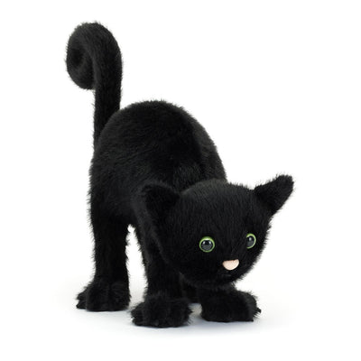 Spookipaws Kat