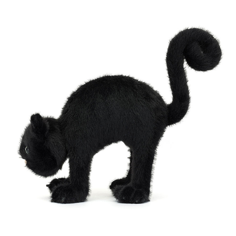 Spookipaws Kat