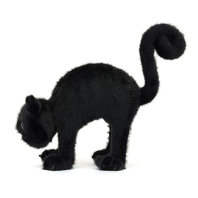 Spookipaws Kat