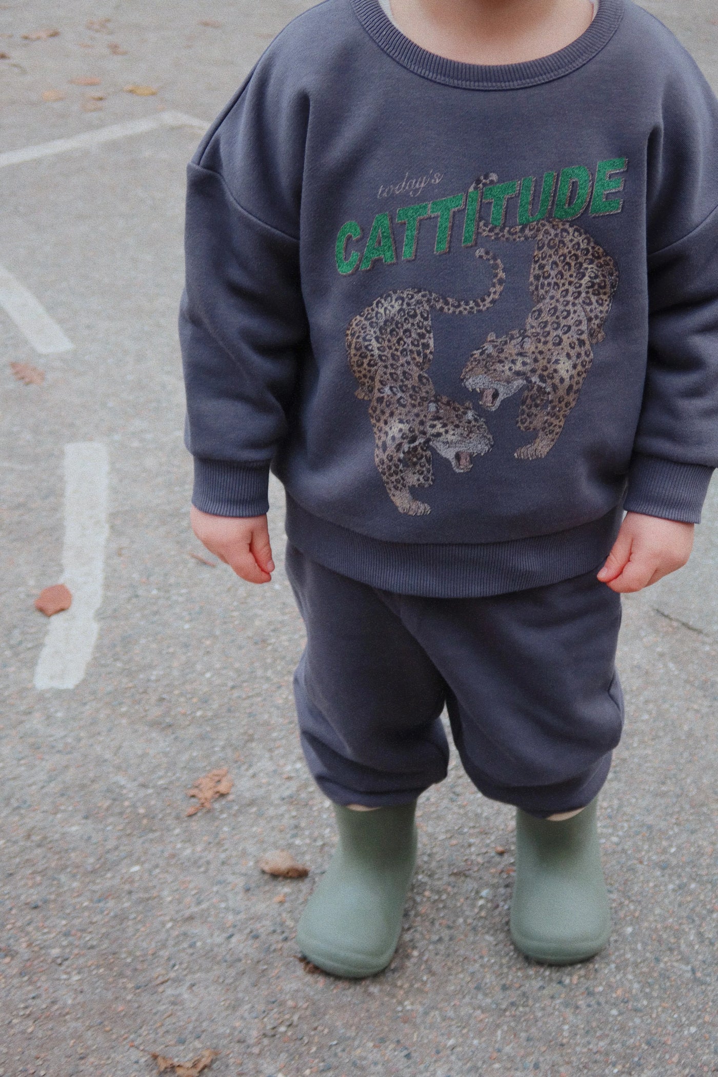 Lou Sweatshirt, Magnet