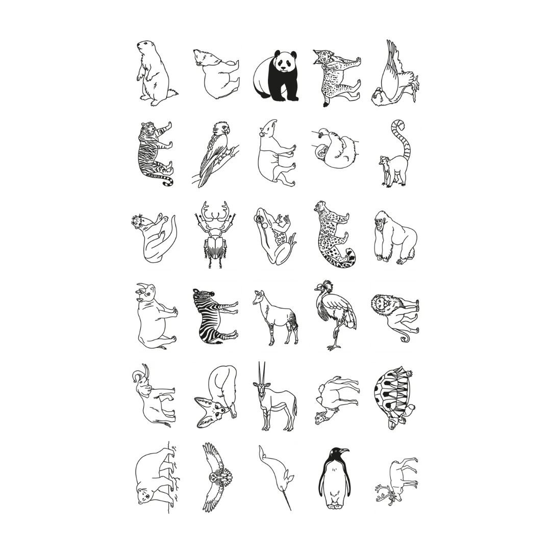 REFILL MINI OCEAN &  PIRATES