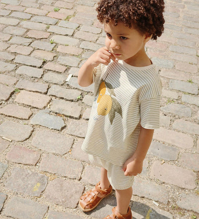 SÆT FAMO TEA STRIPE