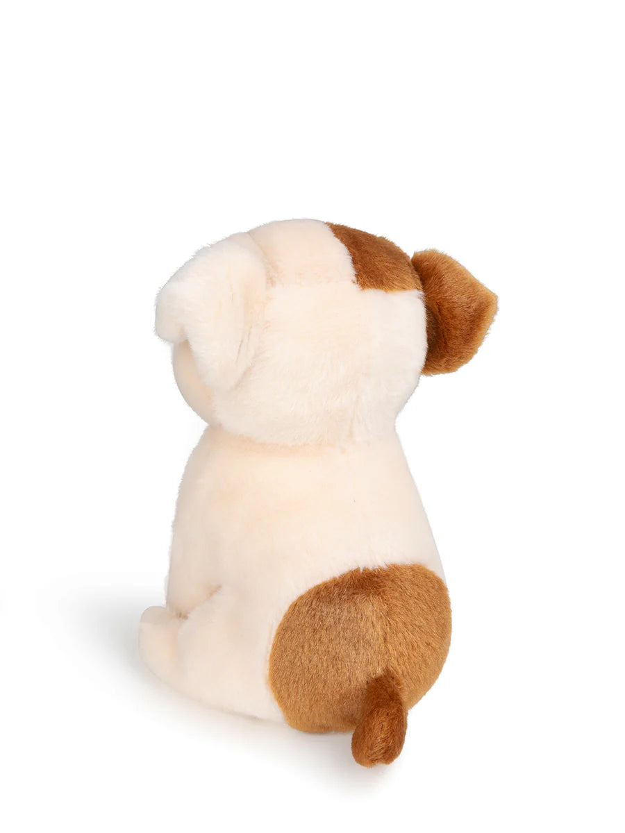 BULLDOG BERTHA I ÆSKE