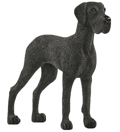 HUND GRAND DANOIS