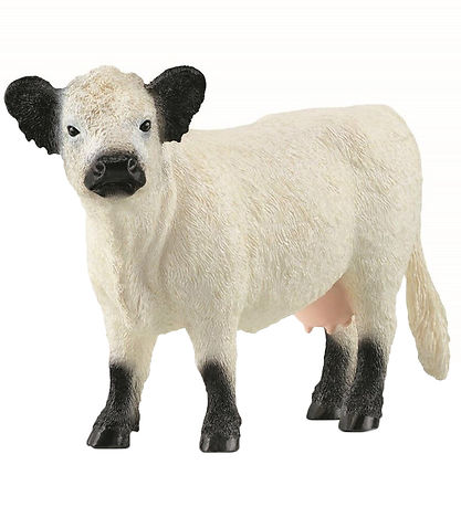 KO GALLOWAY HVID M/SORTE ØRER
