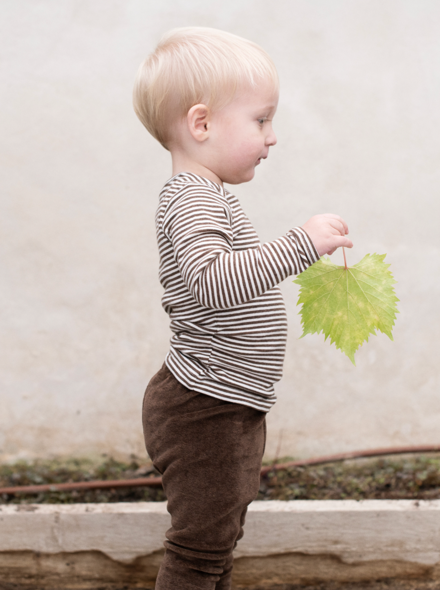BLUSE CHESTNUT/OFFWHITE