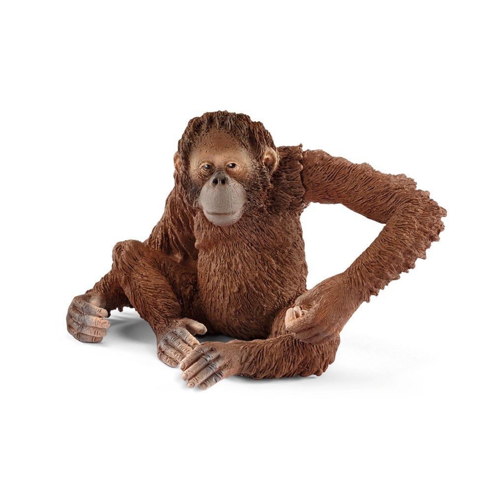 Orangutang hun