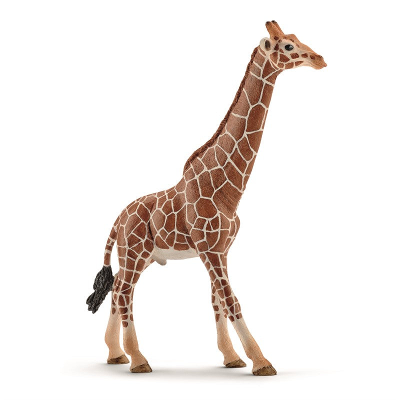 Giraftyr