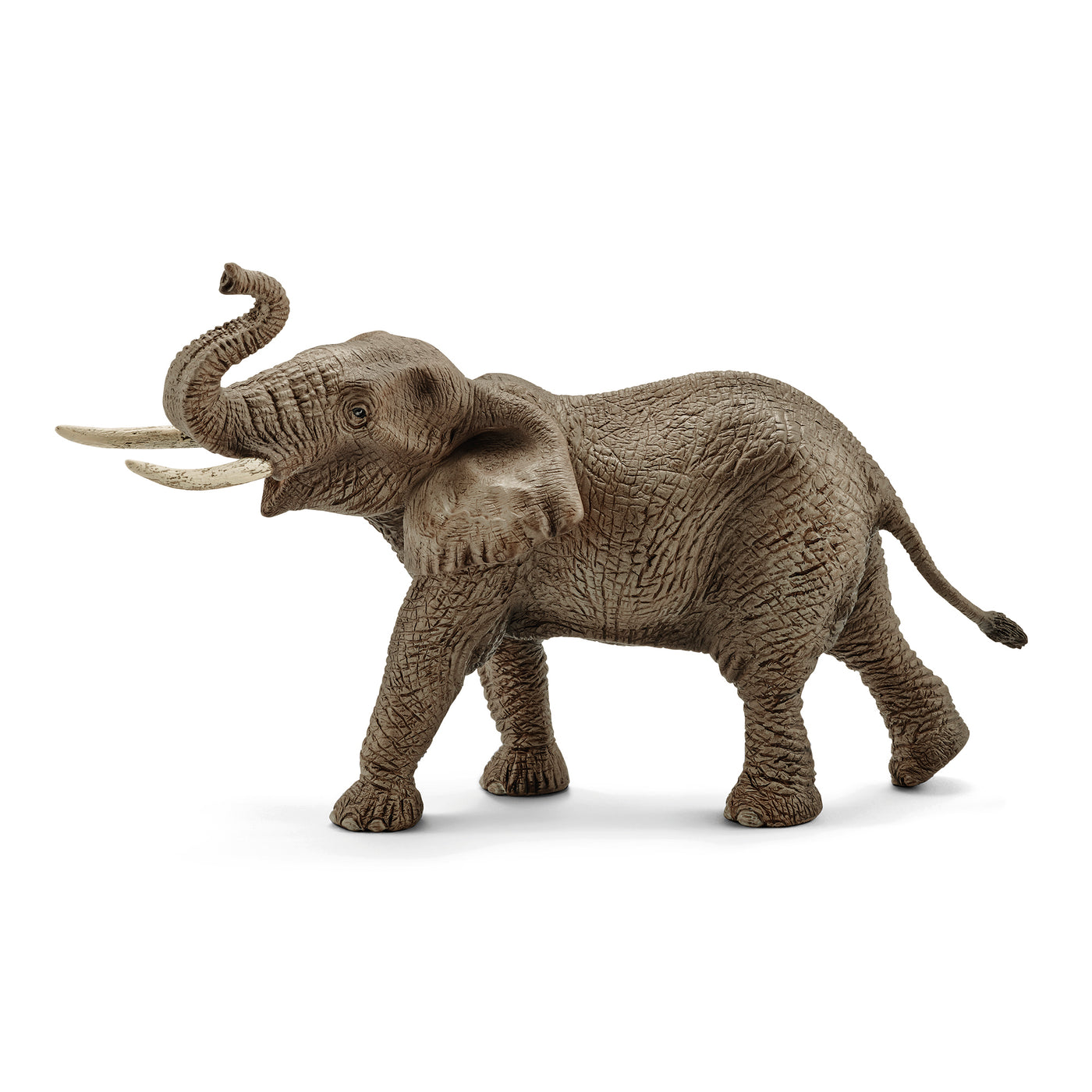 Afrikansk han elefant