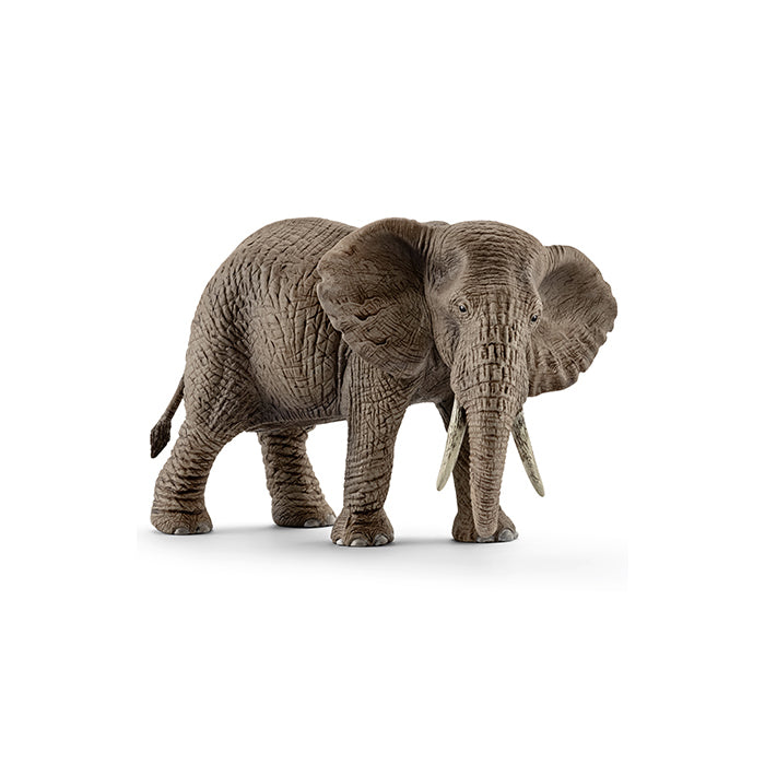 Afrikansk hun elefant
