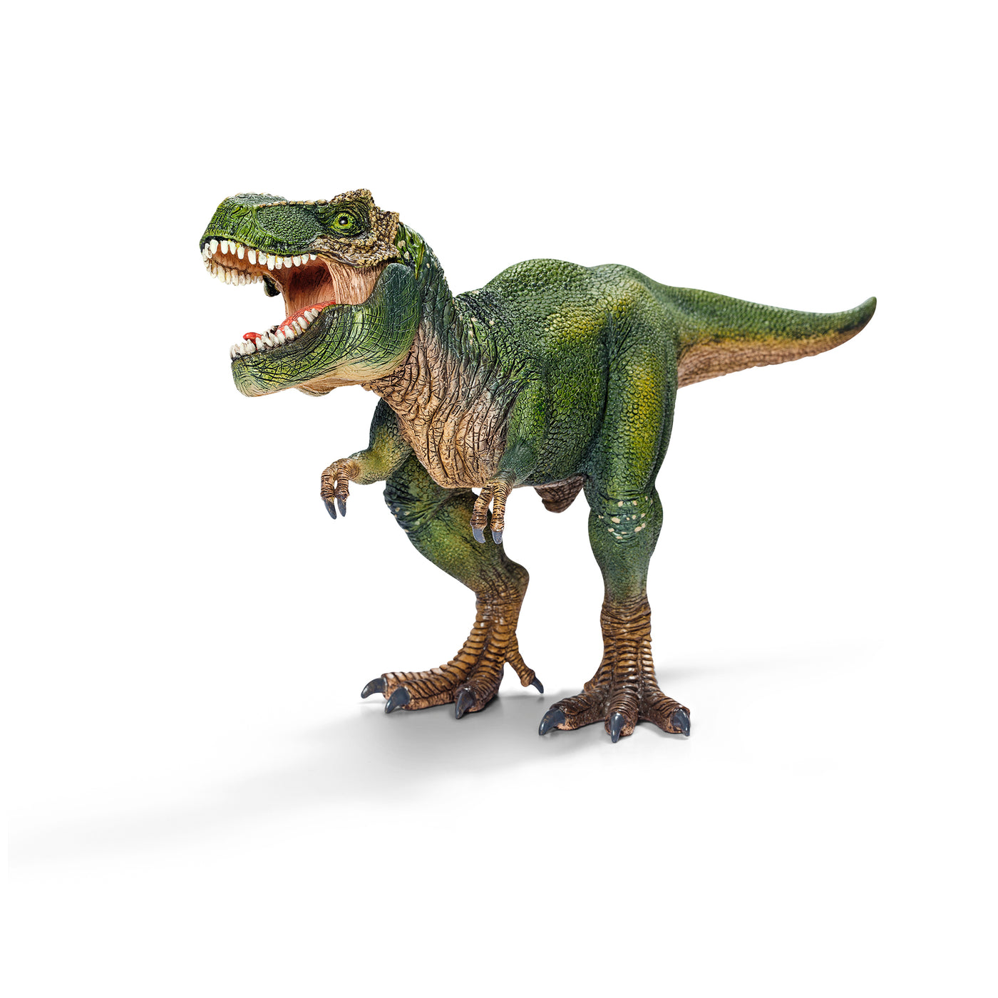 Dinosaur, Tyrannosaurus Rex