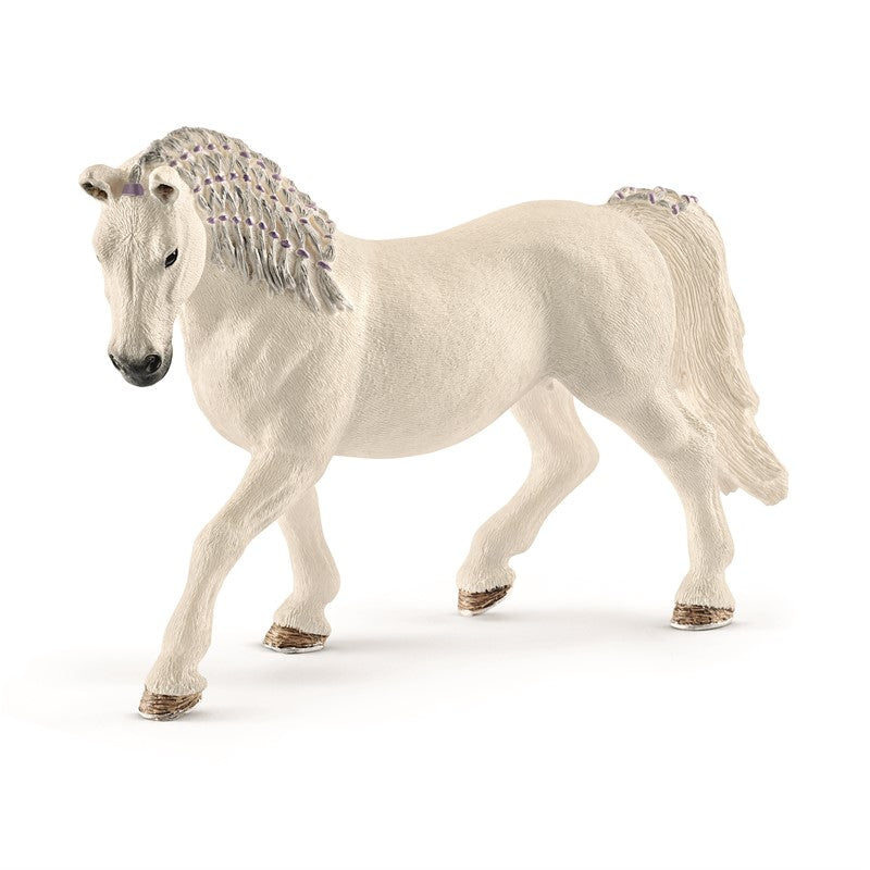 Lipizzaner hest