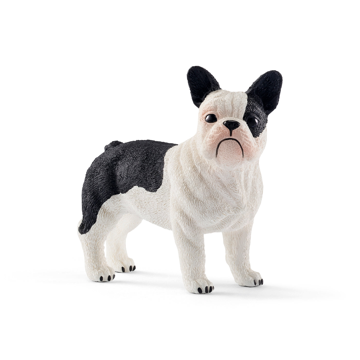 Fransk Bulldog