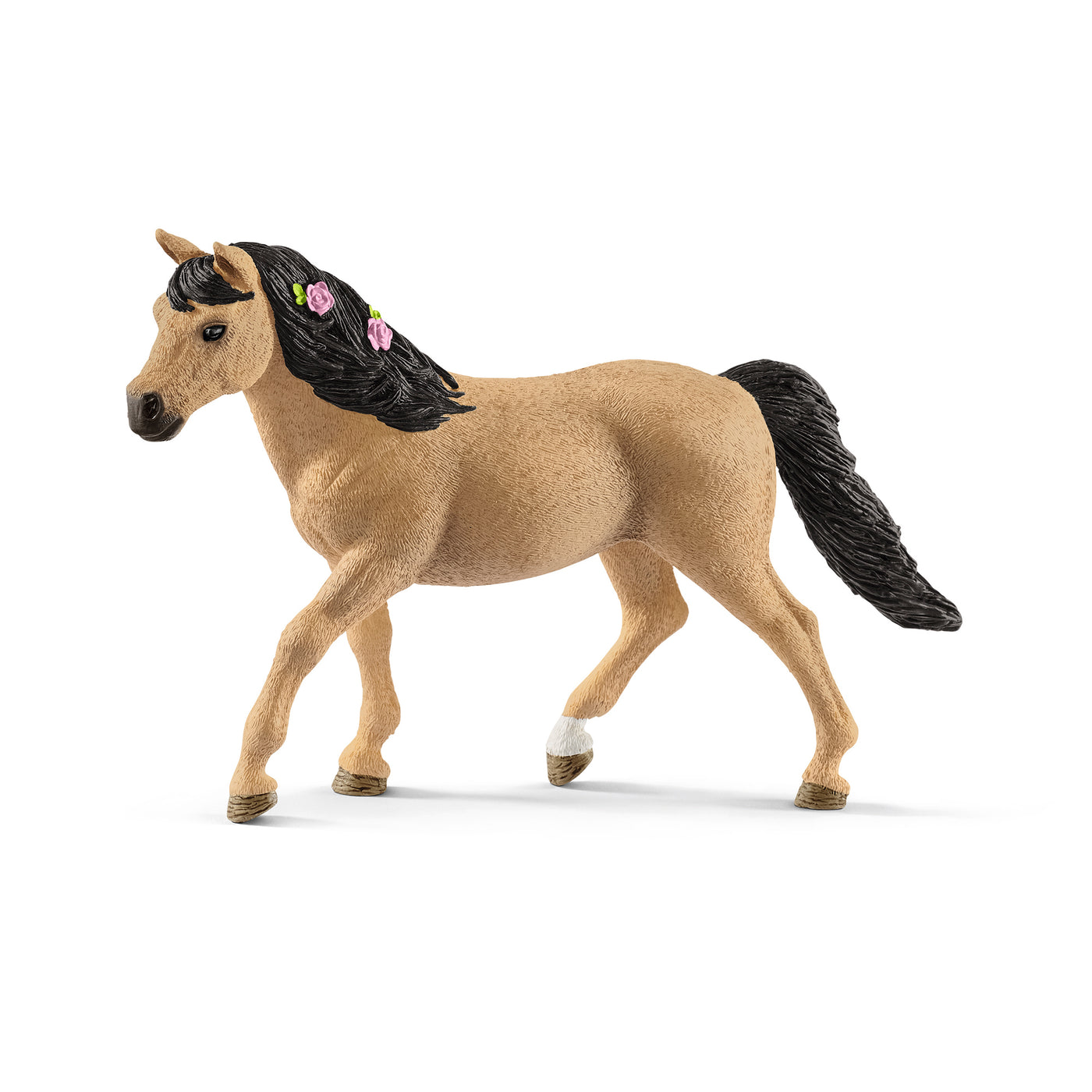 Connemara pony hoppe