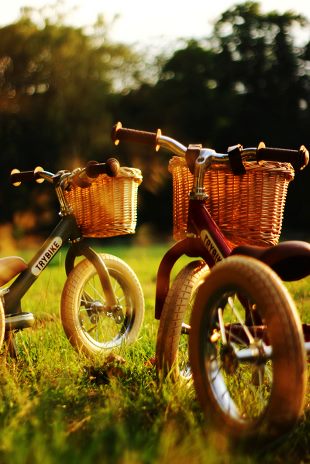 Trybike cykelkurv, i flet