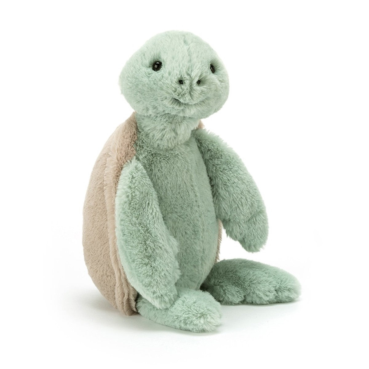 Bashful, skildpadde 31 cm