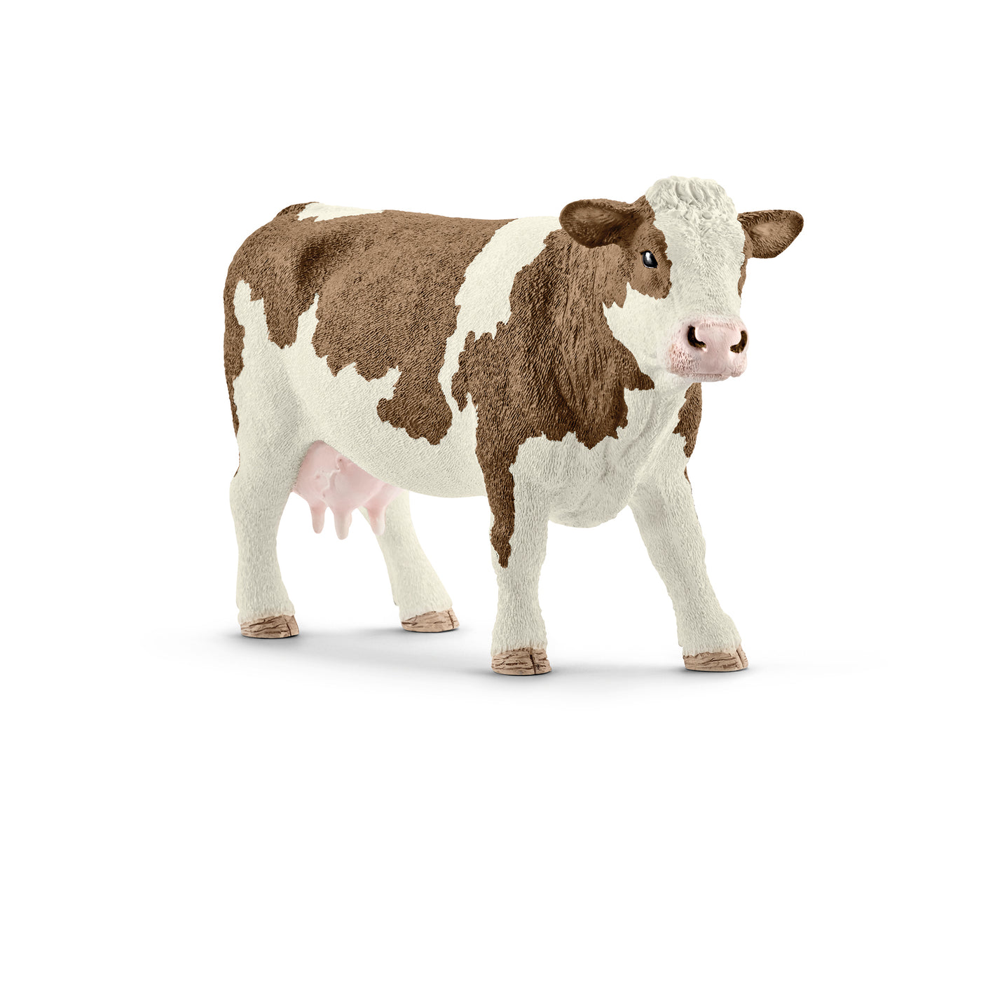 Simmental ko