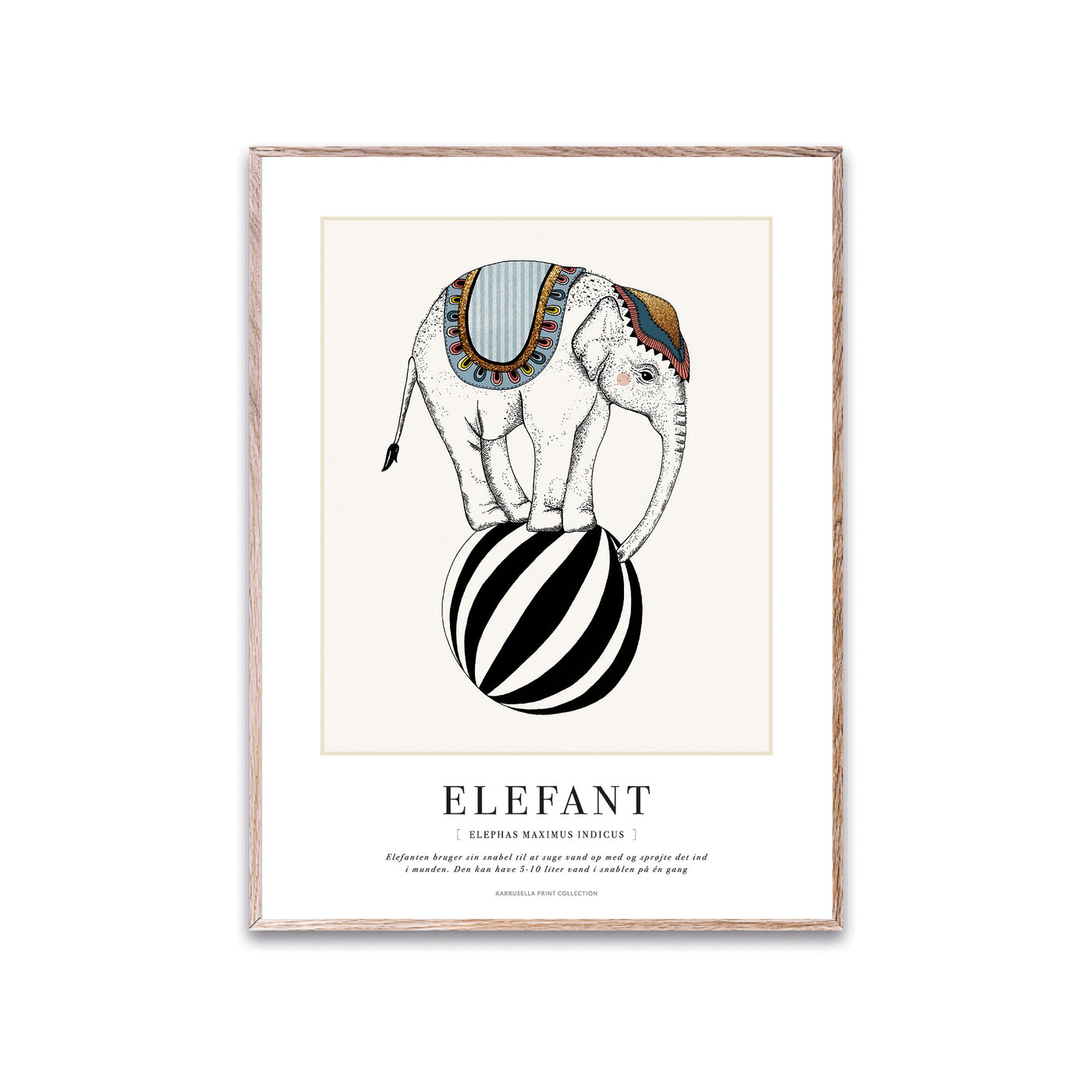 Plakat, Vintage elefant