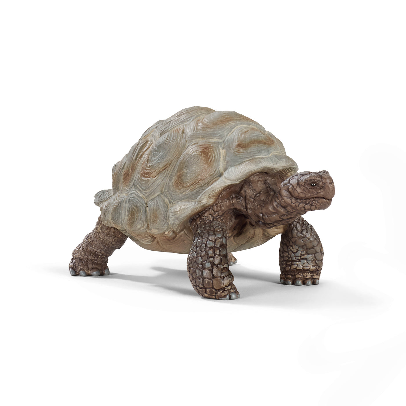 Kæmpe skildpadde