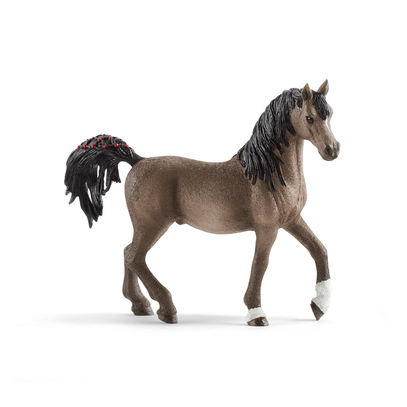Araber hingst