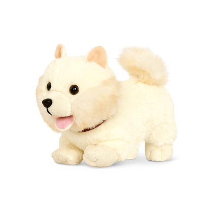 Hund, Pomeranier med bevægelige ben