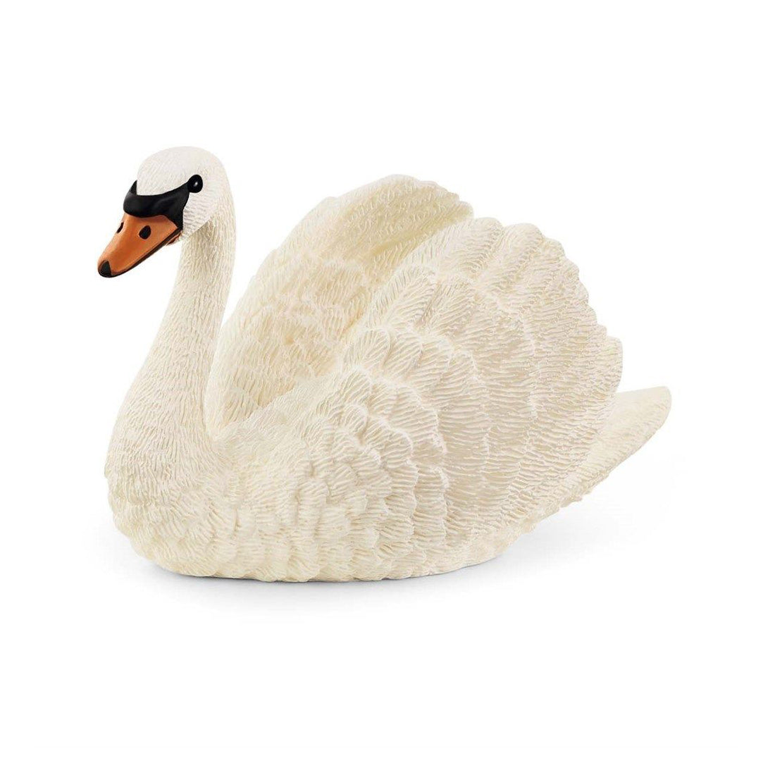 Svane