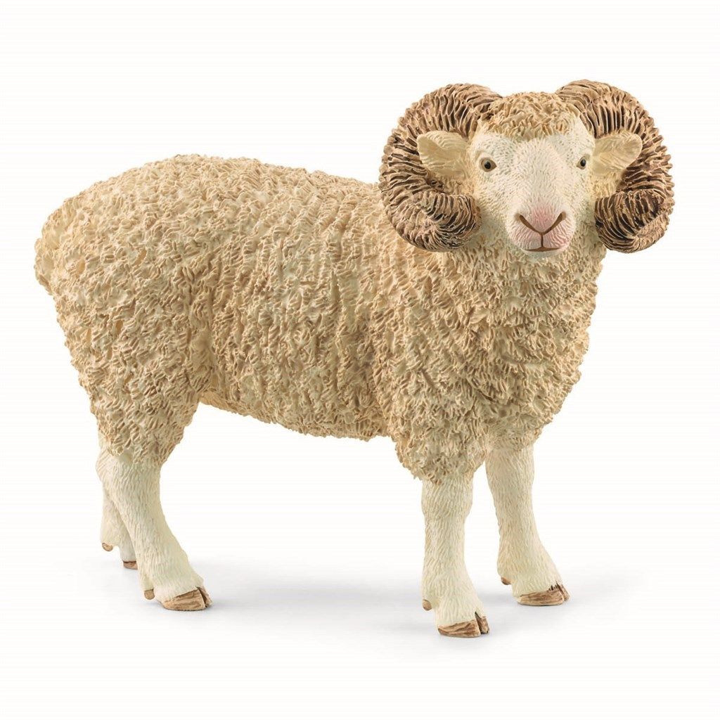 Vædder