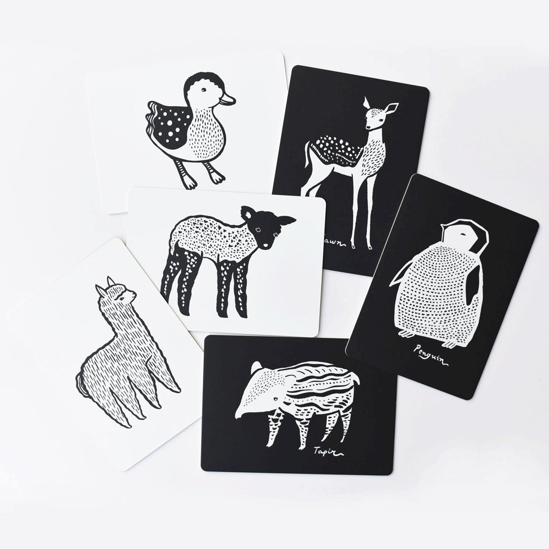 Kunst kort, Baby animals