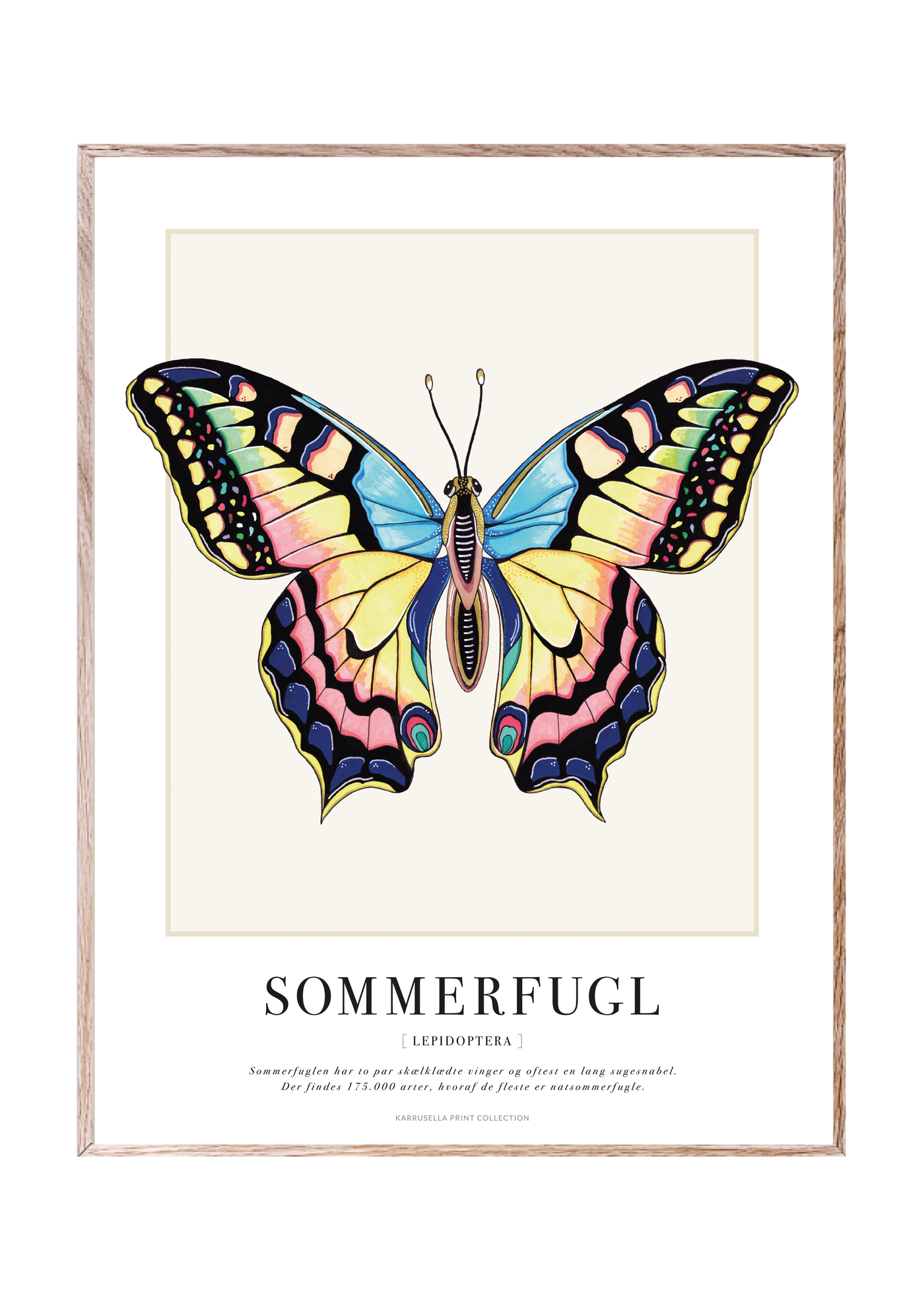 Plakat, Sommerfugl 30X40