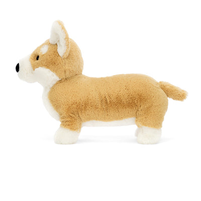 Hund corgi Betty