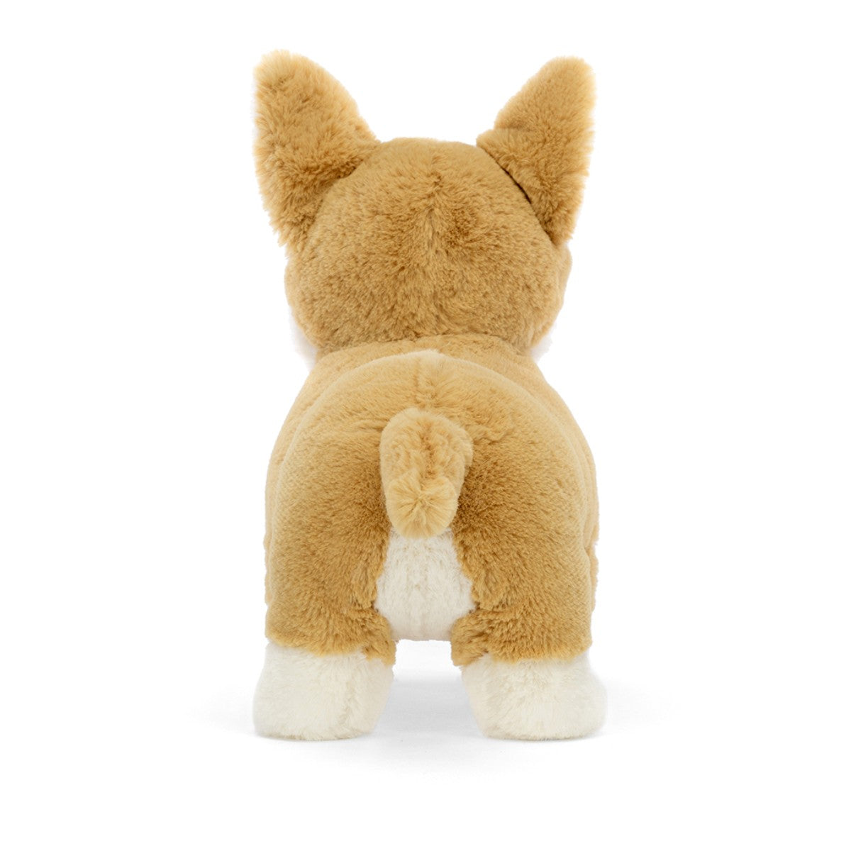 Hund corgi Betty