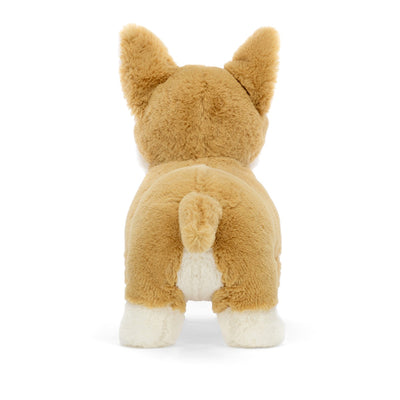 Hund corgi Betty
